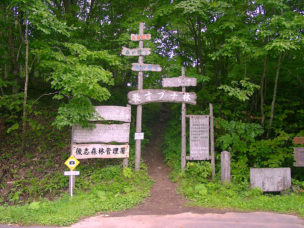 歌才ブナ林の探勝路の入口