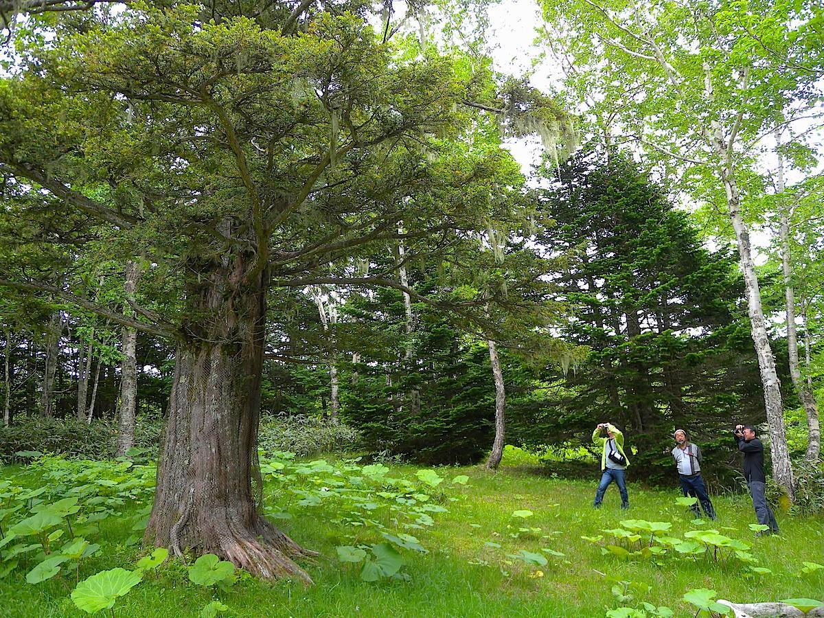 オンコ公園