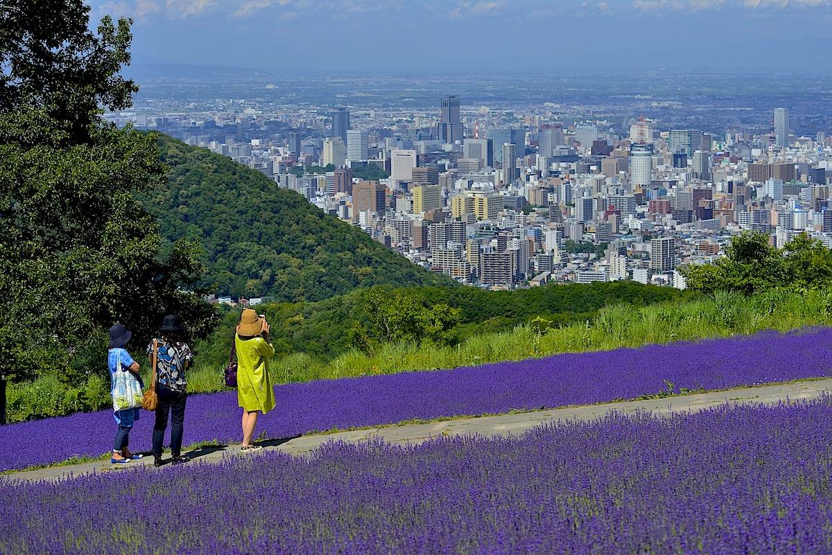 北海道 幌見峠 ディスカウント 『ラベンダーの中の少女』