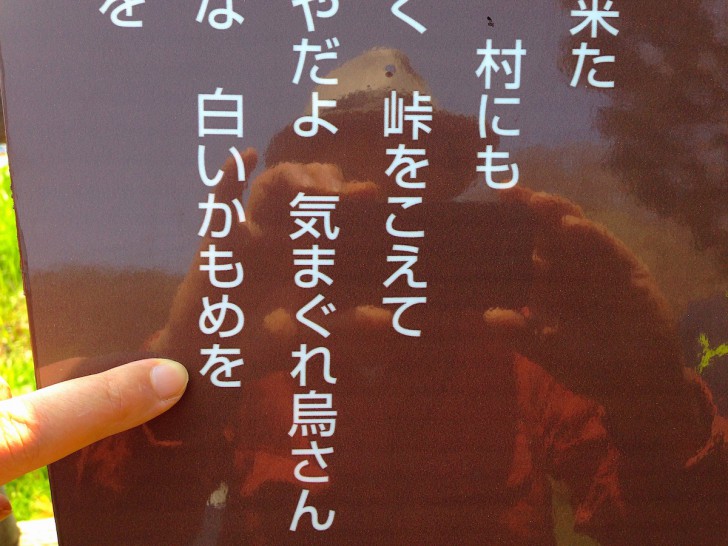 羅臼港近くのしおかぜ公園にある知床旅情歌碑にはハッキリと「白いカモメを」と