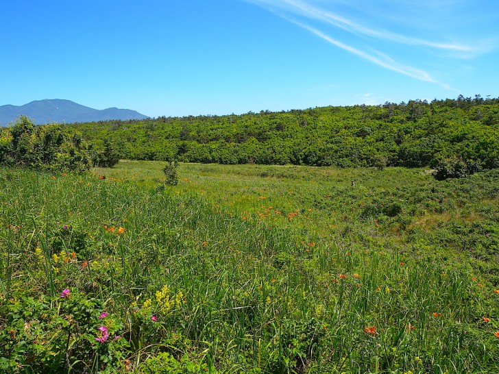 知床連山一望 以久科原生花園に寄り道しよう 北海道style