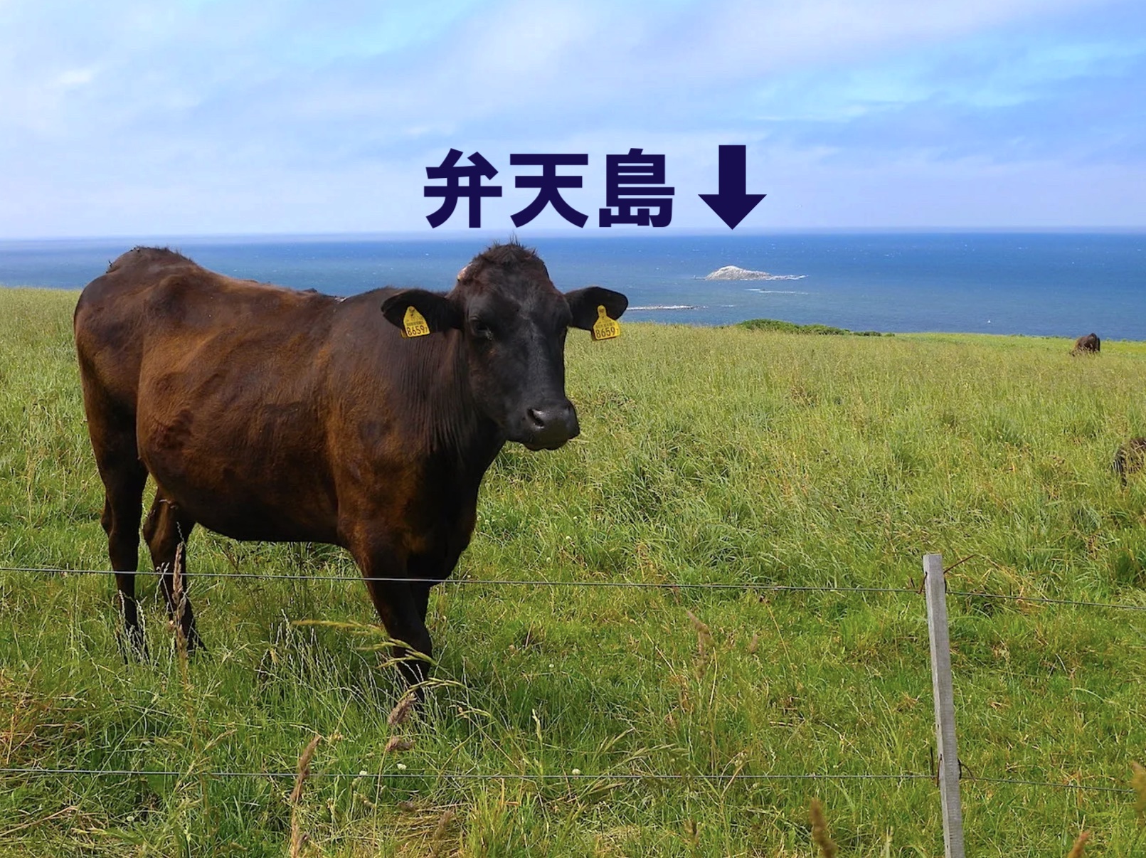 日本最北端は宗谷岬ではなく、弁天島！ | 北海道Style