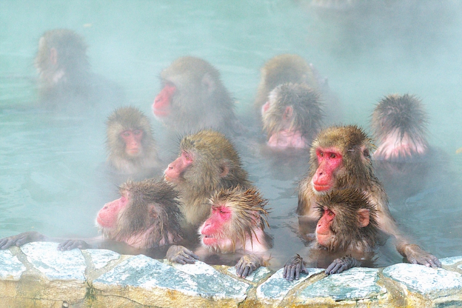 函館市営熱帯植物園 北海道style
