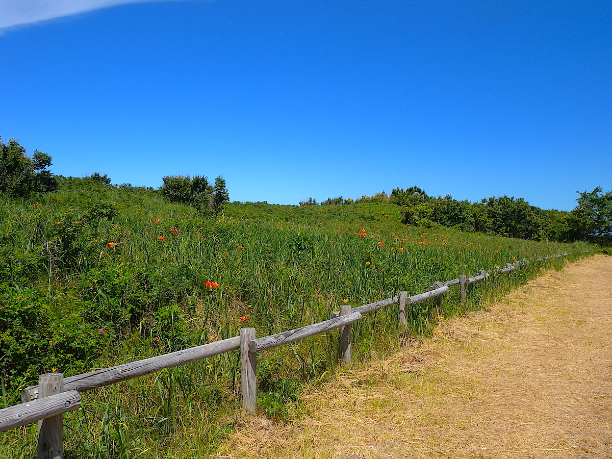 以久科原生花園 北海道style