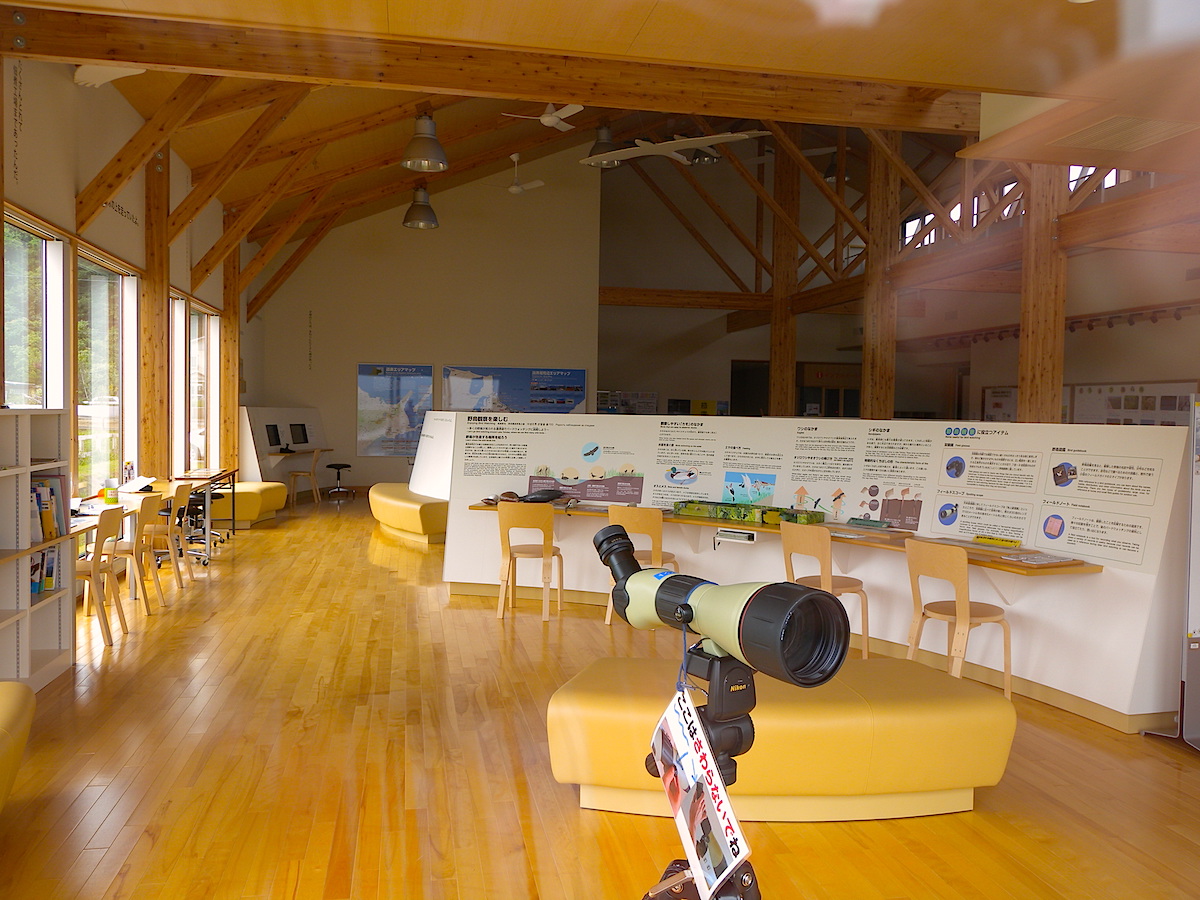 【夏休み】行ったつもりで北海道みやげ『竹根に佇む竹製のオジロワシ』☆超絶技巧☆ 外来種のセミ・タケオオツクツクを食べてみた(埼玉県・川口市