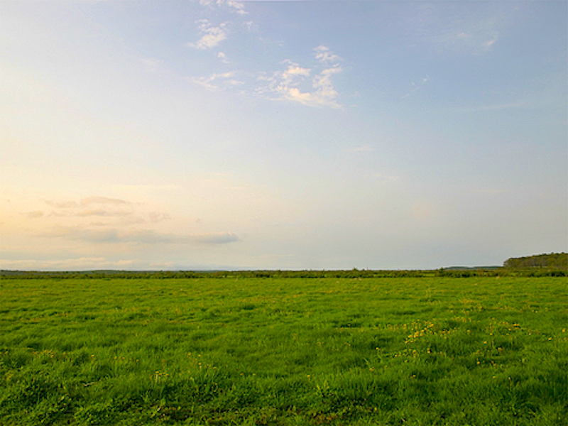 HO047701.jpg