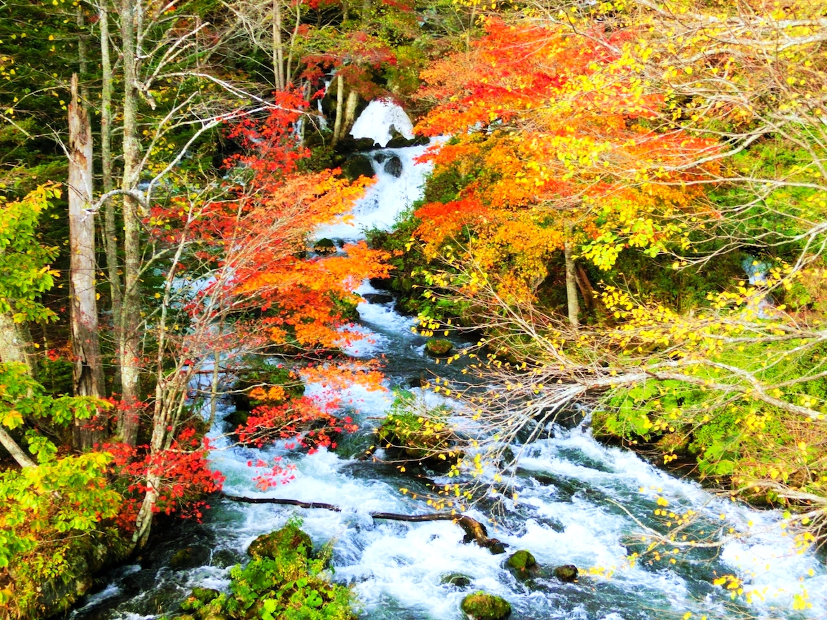 阿寒横断道路・滝見橋紅葉