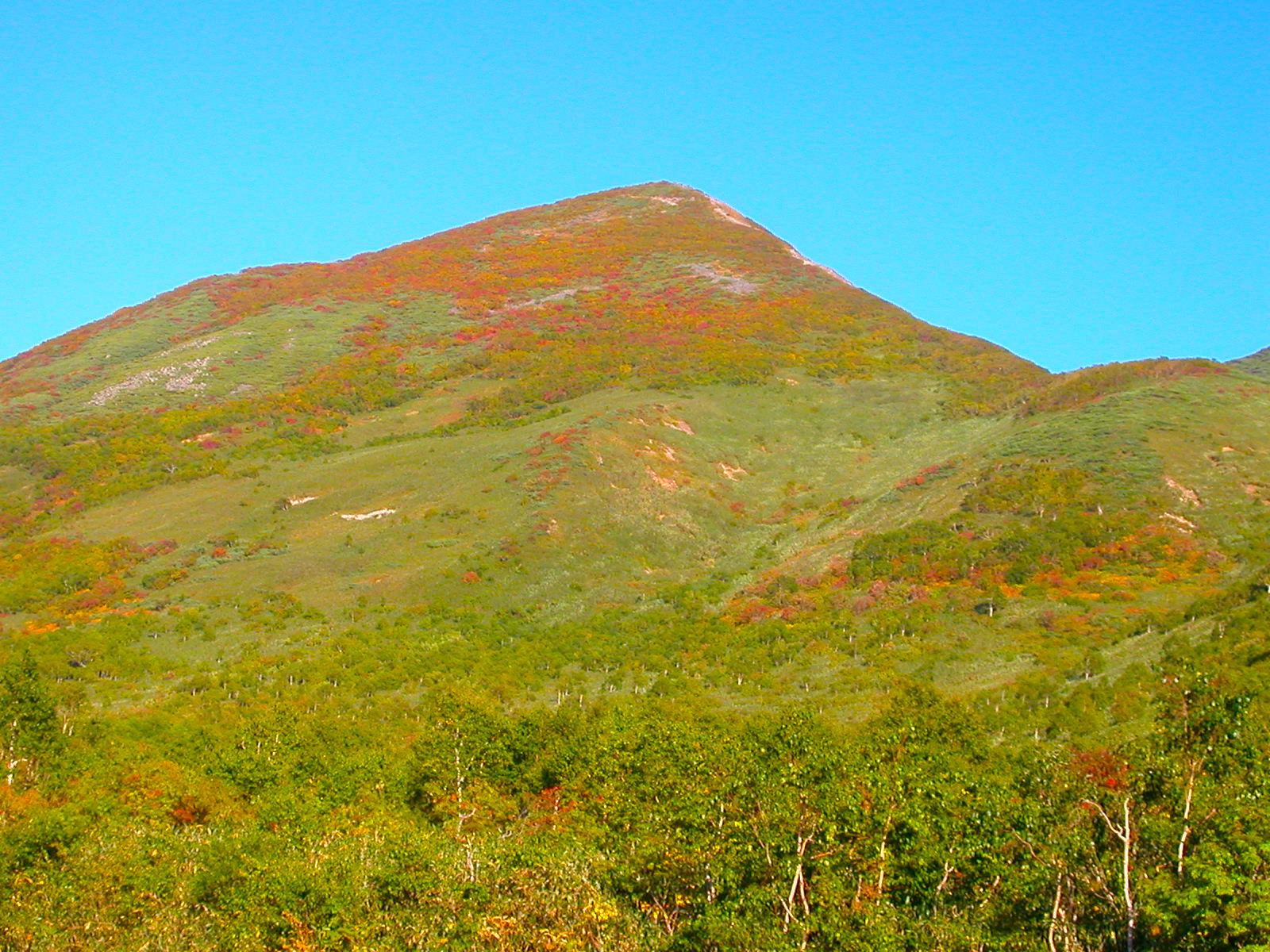 紅葉絶景ドライブ 6 ニセコパノラマライン 道道58号 北海道style