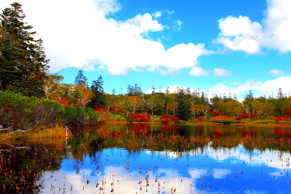 紅葉絶景ドライブ 6 ニセコパノラマライン 道道58号 北海道style