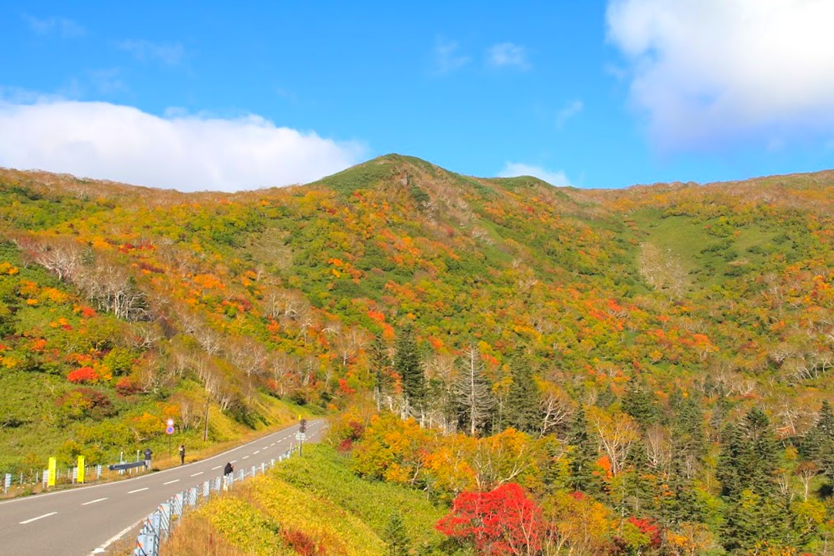 知床横断道路・紅葉