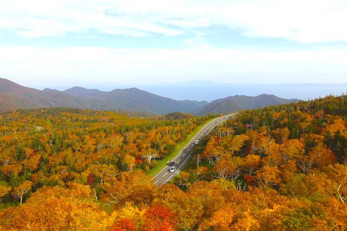 知床横断道路・紅葉
