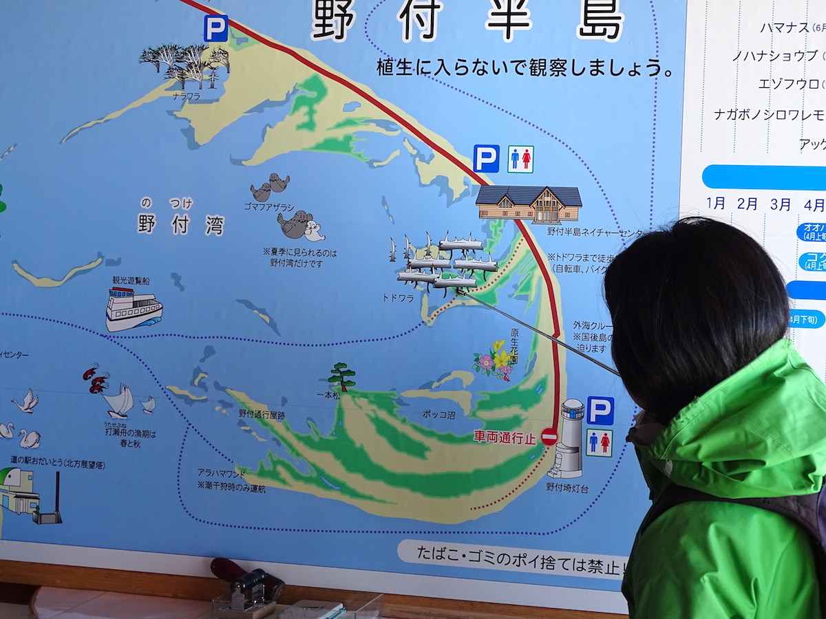 トドワラ・氷平線ウォークツアー