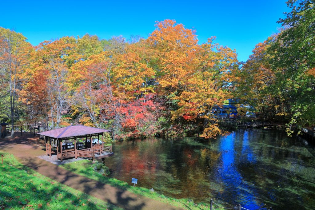 ふきだし公園(羊蹄のふきだし湧水)