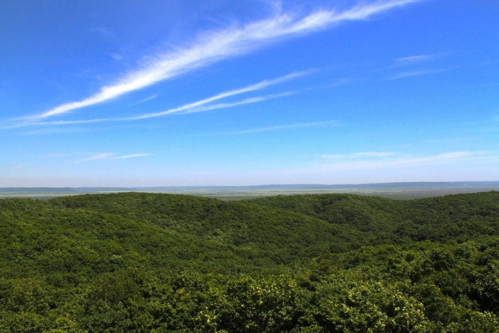 釧路市湿原展望台