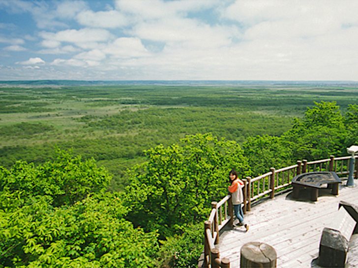 釧路市湿原展望遊歩道 北海道style