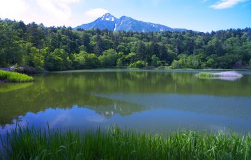 甘露泉水 北海道style