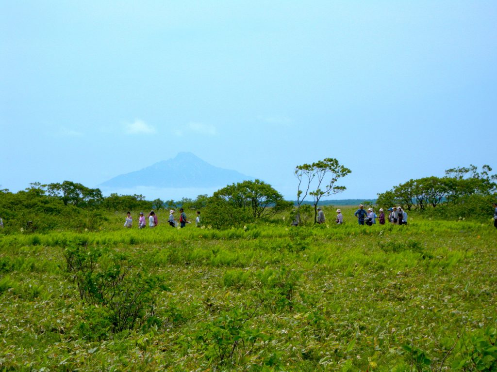 長沼(下サロベツ原野自然探勝路)