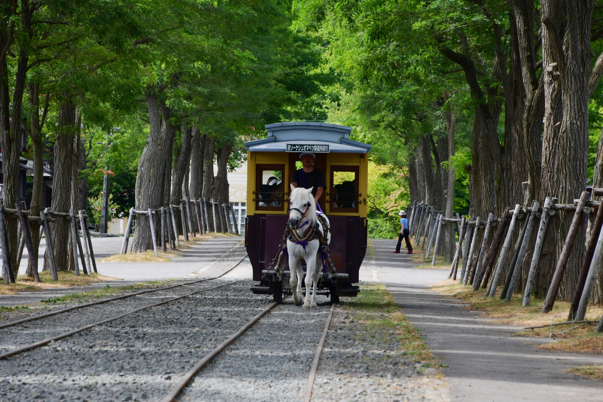 830-Eさん専用　木彫り　北海道開拓鉄輪馬車　優良工芸品特選 馬車鉄道で、「北海道開拓時代」を楽しもう！ | 北海道Style