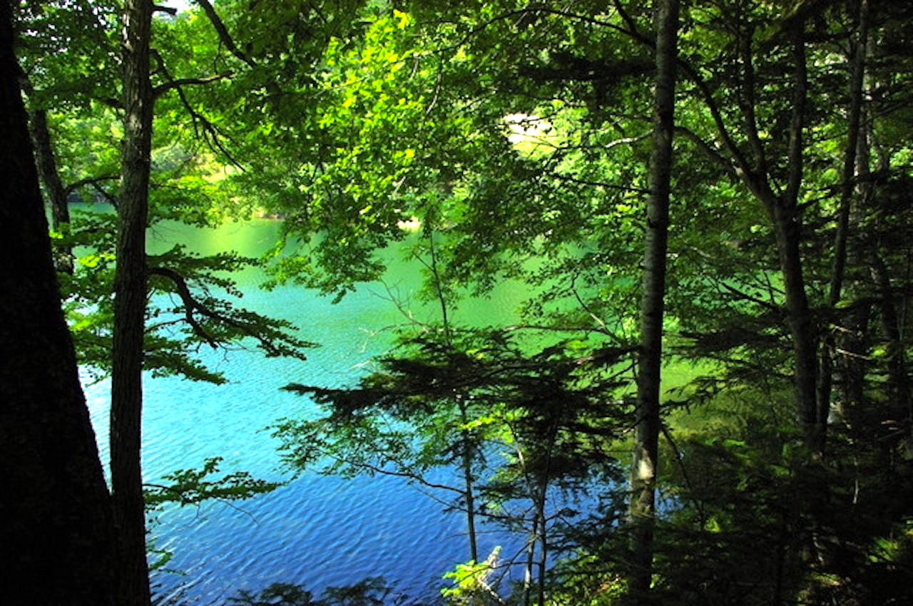 静かな湖 日本最後の秘境】 北海道ツウでも知らない「幻の湖」シュンクシタカラ
