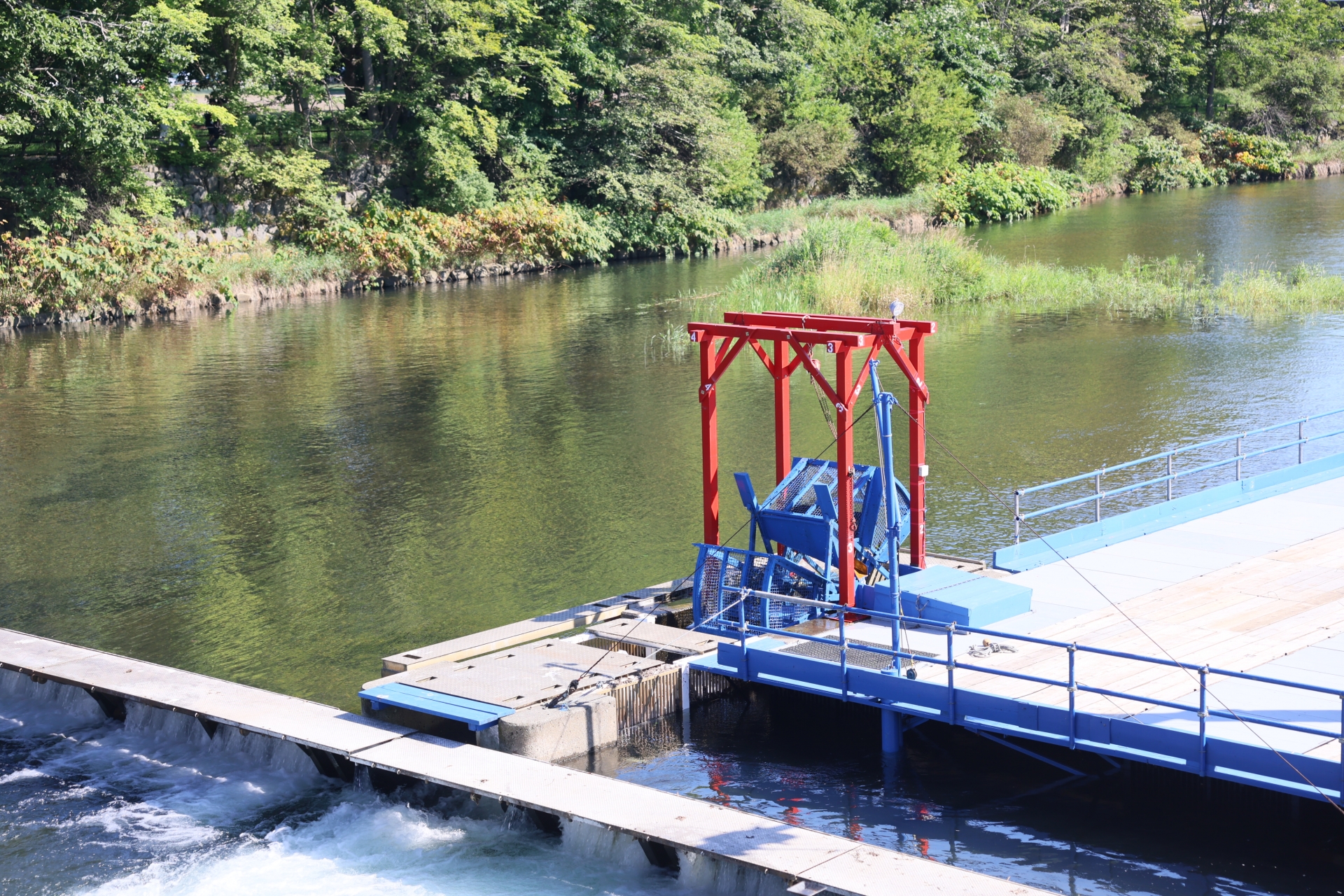 鮭を捕獲するスゴ技！ インディアン水車とは!? | 北海道Style