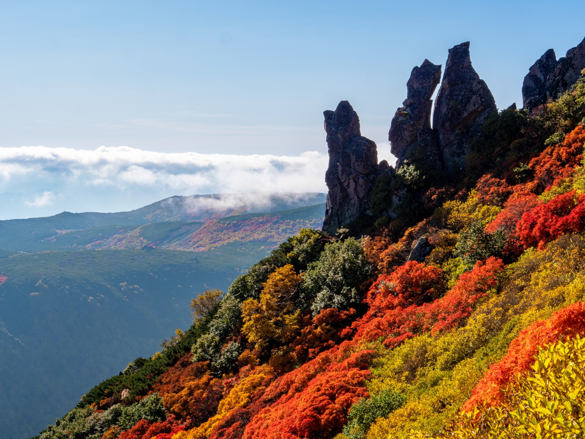 紅葉「い・ろ・は」 大切な想い出。秋 雪の積もった紅葉が幻想的な美しさでした🍁 #そうだ京都行こう