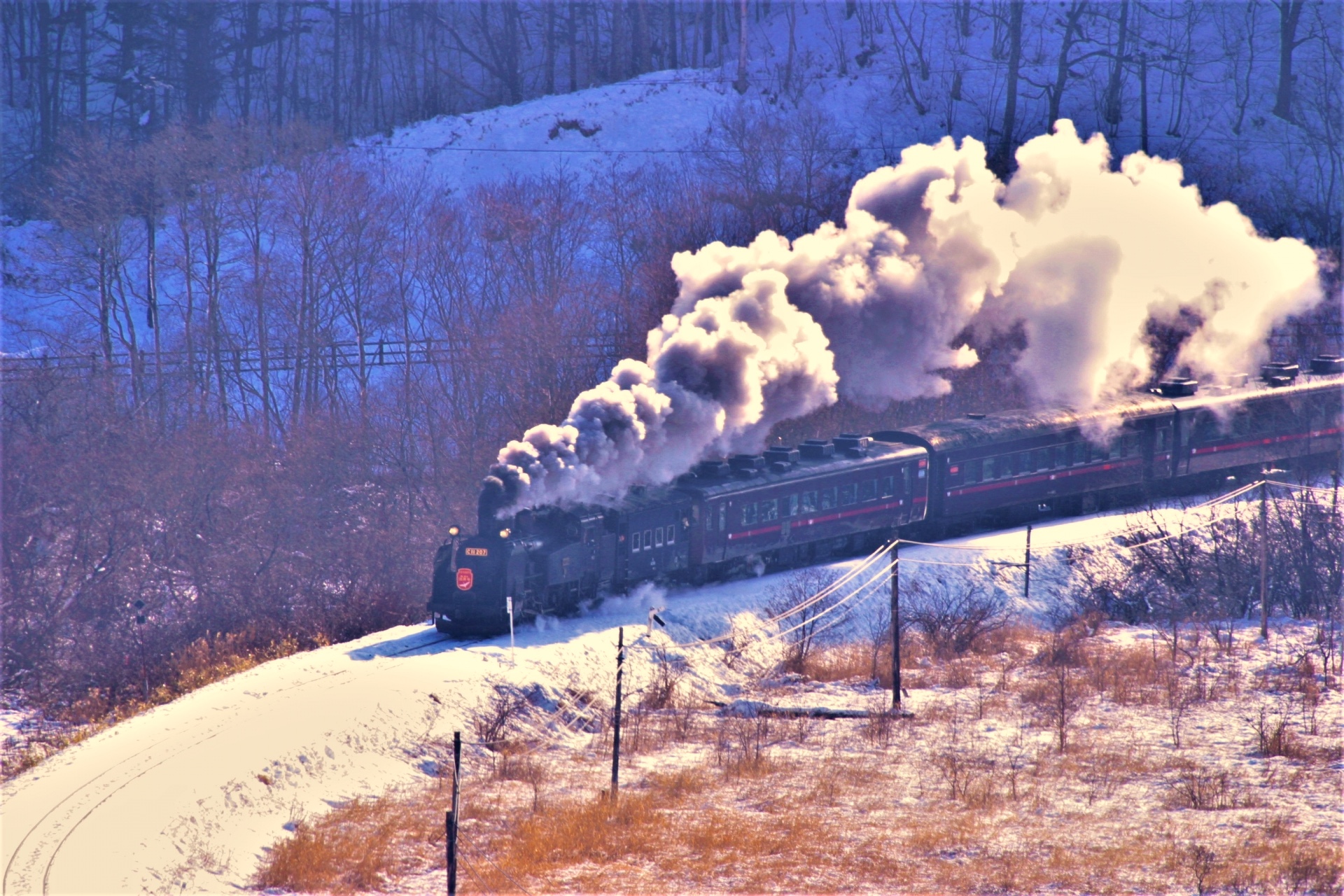 winterscenery0901N.jpg