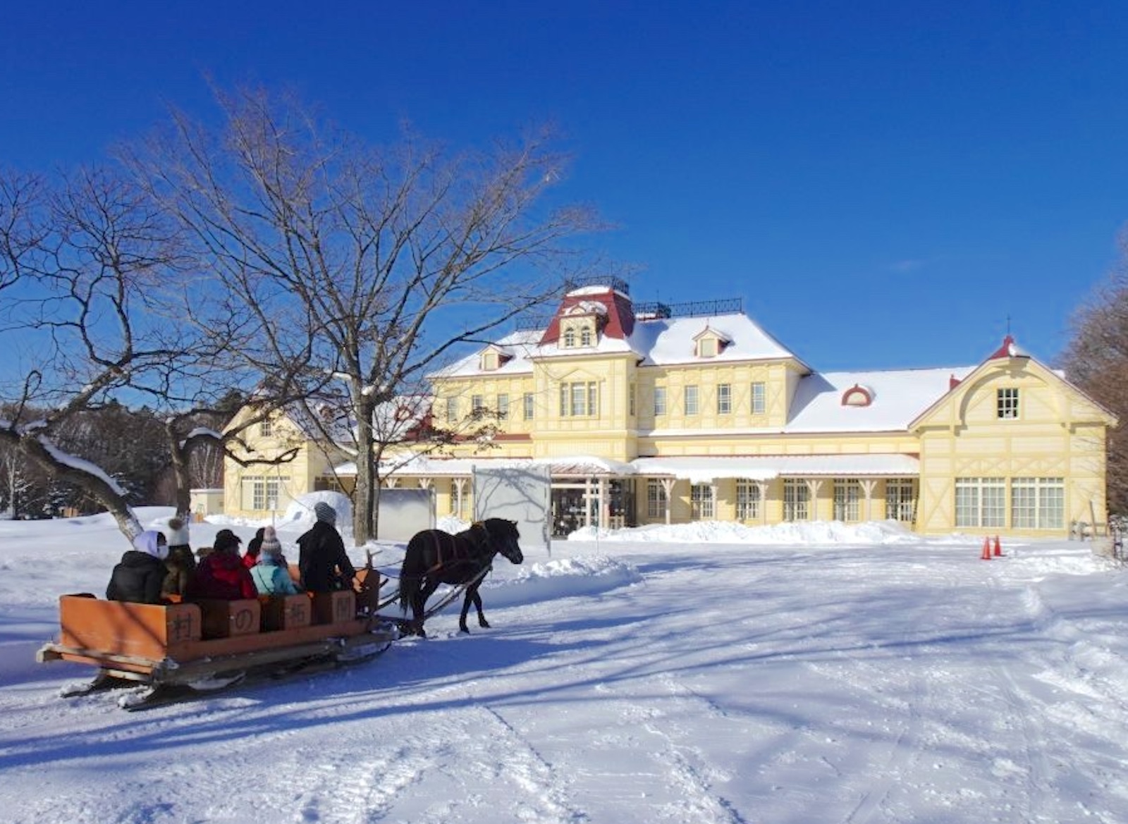 冬こそ北海道！ 北海道開拓の村で「馬そり」に乗車 | 北海道Style