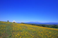 北西の丘展望公園