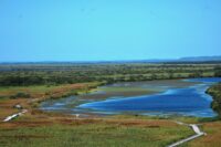 長沼（下サロベツ原野自然探勝路）